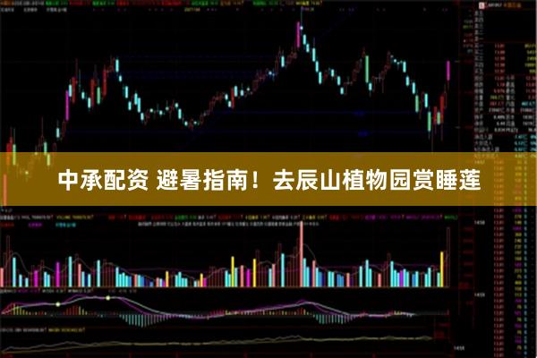 中承配资 避暑指南！去辰山植物园赏睡莲