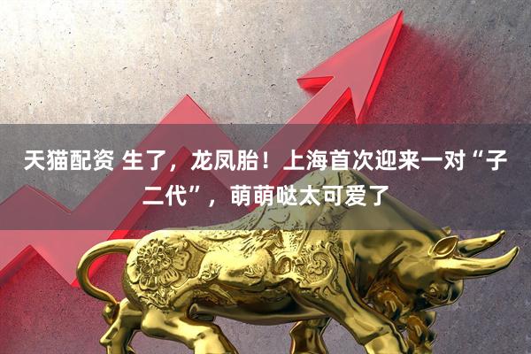 天猫配资 生了，龙凤胎！上海首次迎来一对“子二代”，萌萌哒太可爱了