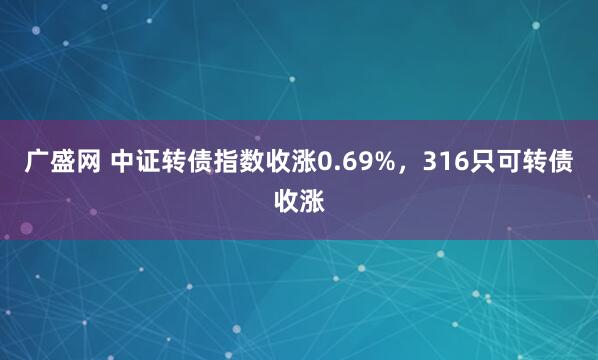 广盛网 中证转债指数收涨0.69%,316只可转债收涨